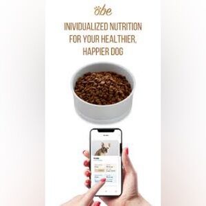 Obe ProBowl Smart dogs or cats bowl in white color NWT NIB